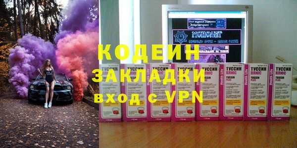 сатива Инсар