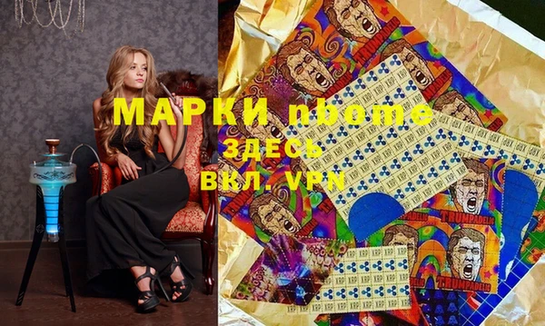 сатива Инсар