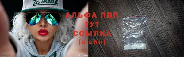 сатива Инсар