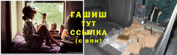 сатива Инсар