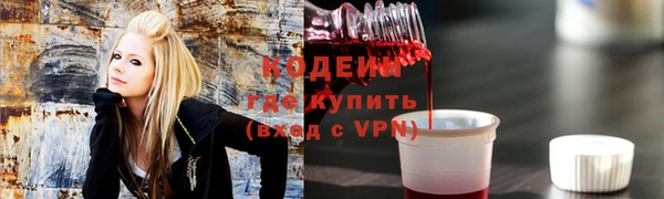 сатива Инсар