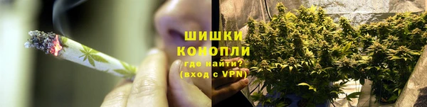 сатива Инсар