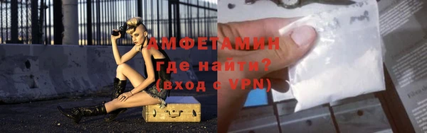 сатива Инсар