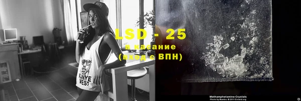 сатива Инсар