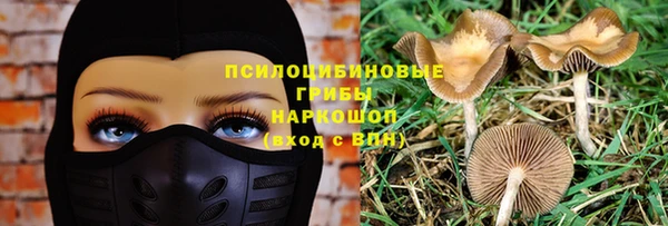 мдпв Иннополис