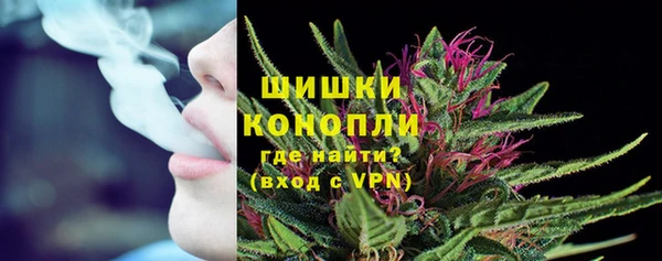 бутират Инта