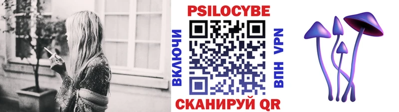 Галлюциногенные грибы Psilocybine cubensis Купить Краснокамск